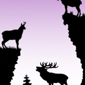 N° 75 CP. Le crépuscule sauvage (bouquetin, chamois et cerf)